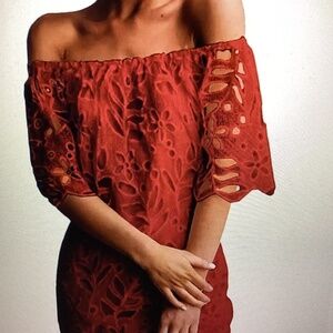Vintage Mini Off Shoulder Eyelet Lace Dress ( Size: XL) (Color:Wine Red)